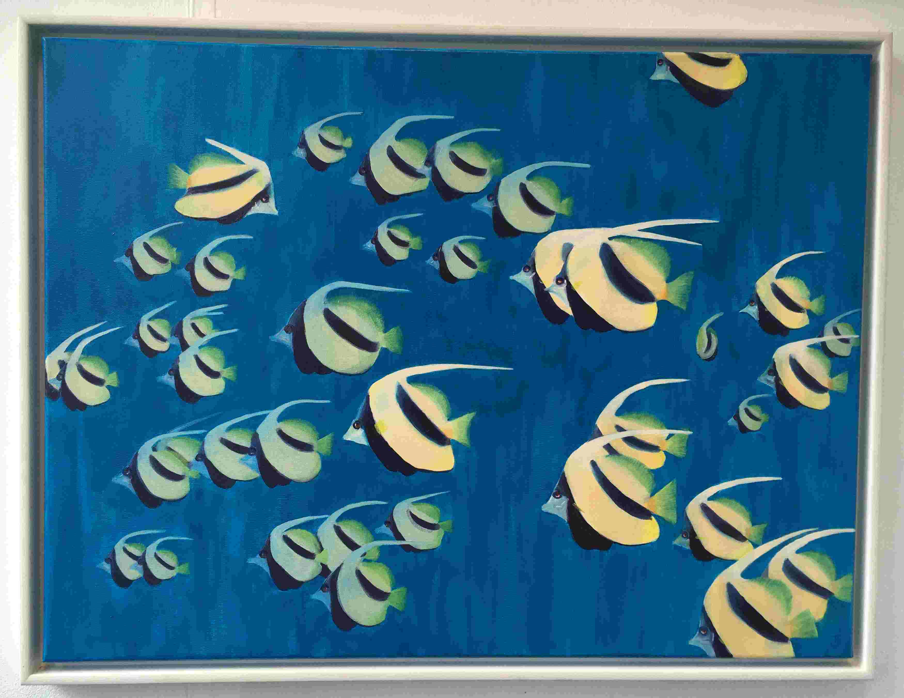Butterfly Fish (Red Sea) £95