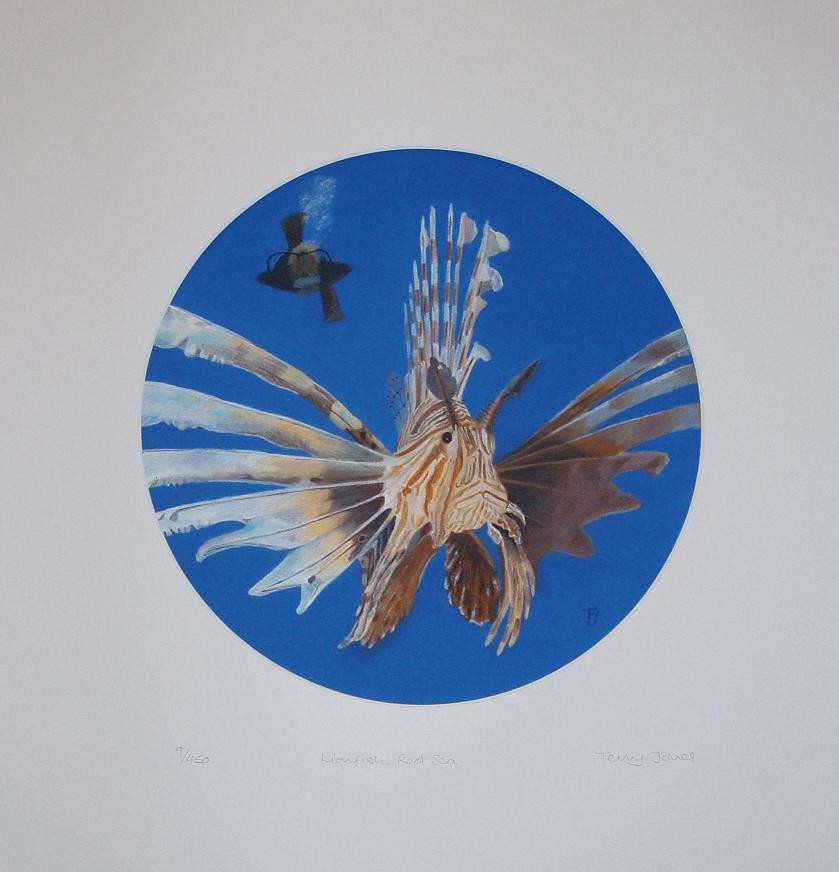 Lionfish (Red Sea) #13